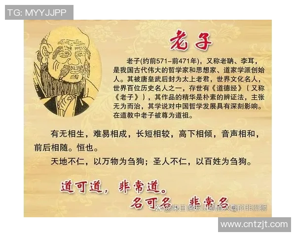 龟尾与报恩尚武的对比探讨及其在现代社会中的意义与影响